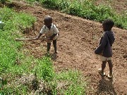 Travail des enfants au Mali