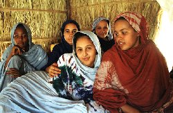 Plaidoyer pour une participation des femmes mauritaniennes dans la vie sociopolitique